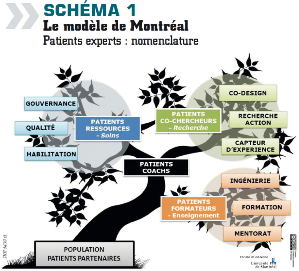 INITIATIVE Le Partenariat Patient Un Mod le Innovant INITIATIVE Le Partenariat Patient Un Mod le Innovant